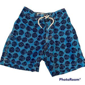 Trunks Surf & Swim Co. Blue Black Board Shorts Boys Size 5